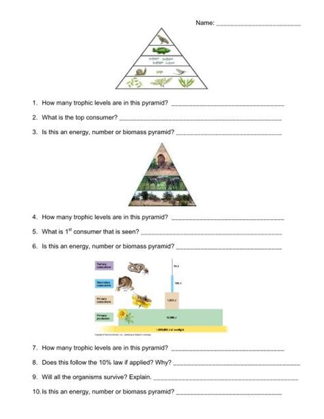 Pyramids Worksheet