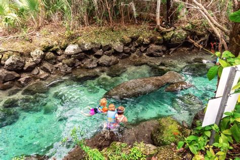 Want to Swim with Manatees in Crystal River, Florida? Read this first!