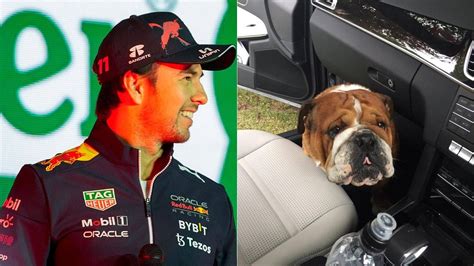 Dites Au Revoir Roscoe Quand Sergio Perez A Kidnapp Le Chien De