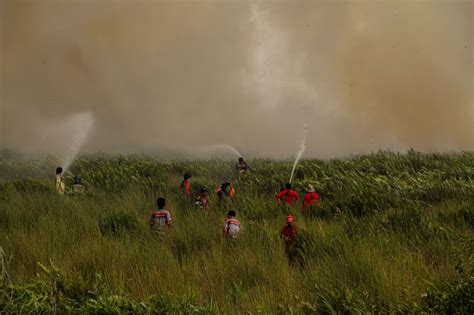 Kebakaran Lahan Seluas Hektare Di Penajam Paser Utara Berhasil