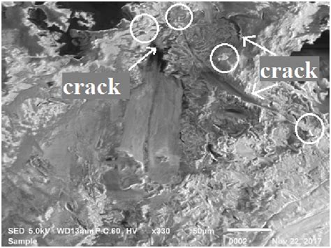 Sem Micrograph Of Tensile Fractured Surface Of Upe Composite With