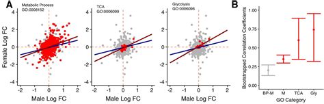 Sex Specific Transcriptomic Responses To Changes In The Nutritional Environment ELife