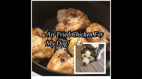 Air Fried Chicken For My Dog Youtube