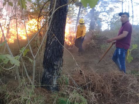 Afect El Fuego Unos Mil Metros Cuadrados En El Cerro De La Charanda