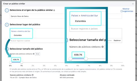 P Blicos Similares Basados En Valor De Facebook Ads Felipe Vergara