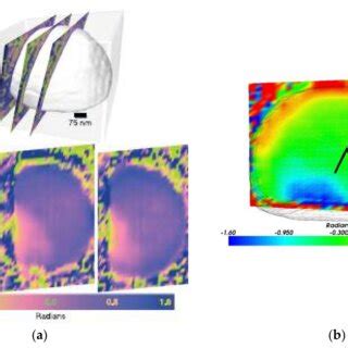 phase mapping   lead particle   parallel sections