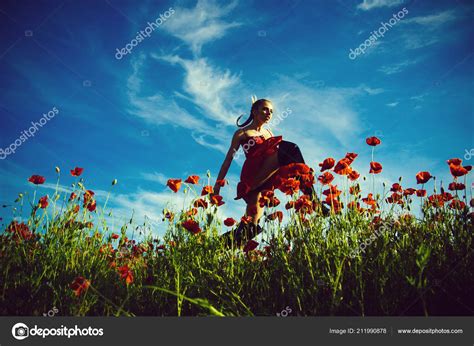 Woman Or Posing Girl In Flower Field Of Poppy Seed Stock Photo