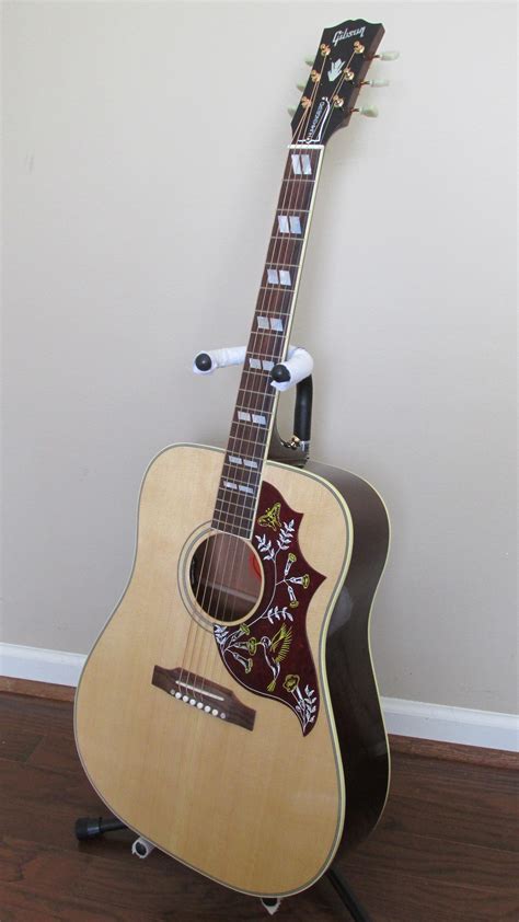 Which Hummingbird should I buy?? - Gibson Acoustic - Gibson Brands Forums