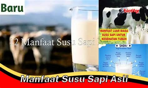 Temukan 5 Manfaat Susu Sapi Asli Yang Jarang Diketahui Biotifor