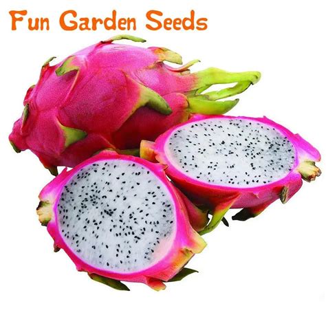 100 Pcs Pitaya Seeds Perennial Plants Fruit Tree Anti aging White Dragon Fruit Seeds Home ...