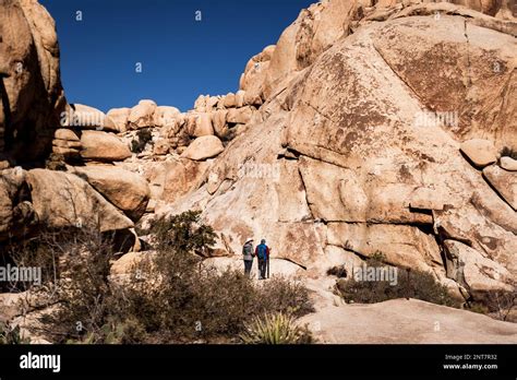 Joshua Tree National Park Is An American National Park In Southeastern