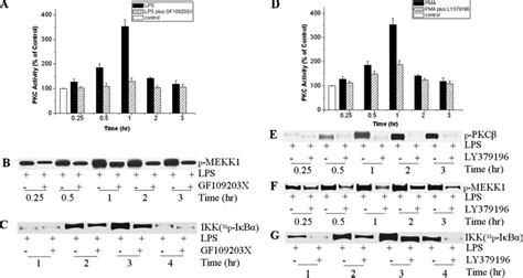 The Pkc Inhibitor Gf109203x And Pkc Inhibitor Ly379196 Reduced Download Scientific Diagram