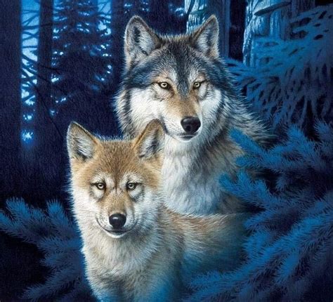 Wolves Cute Forest Cub Painting Lup Wolf White Blue Mother HD