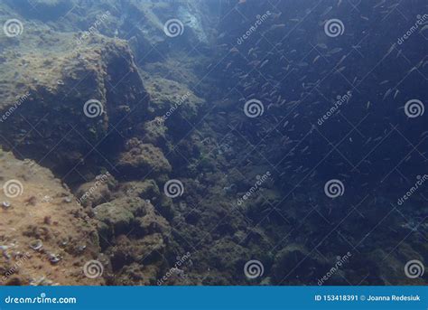 Underwater Photos Of Diving In The Atlantic Ocean Next To The Canary