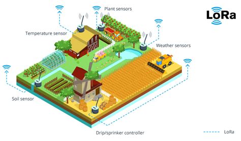 Smart Irrigation In Agriculture Intellias