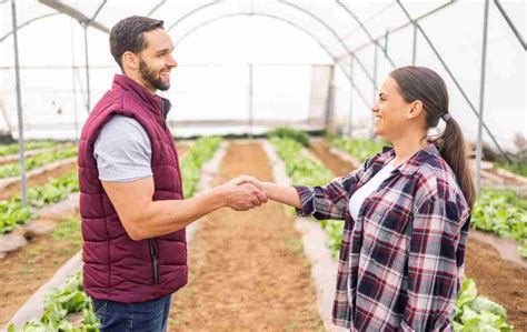 Como o crédito rural contribui para o aumento da produção agrícola