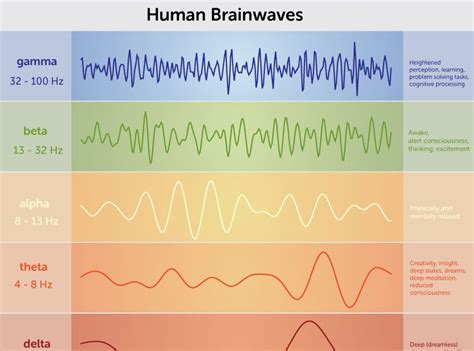 Beta Brain Waves