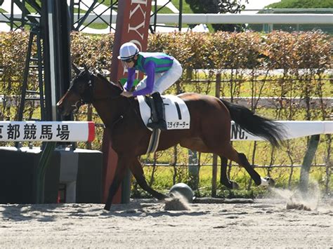 【京都4r新馬戦結果】オルフェーヴル産駒ミライテーラーが3馬身差快勝！ 競馬ニュース Netkeiba