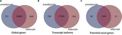 Frontiers Global Transcriptome Analysis During Adipogenic