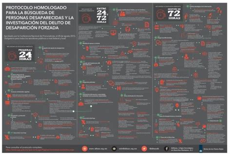 Protocolo homologado para la búsqueda Idheas Litigio Estratégico en