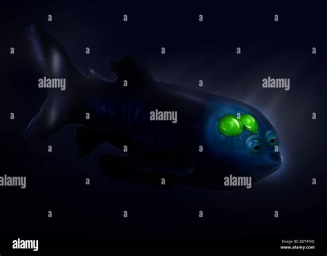 barreleye fish   deep sea called  macropinna microstoma