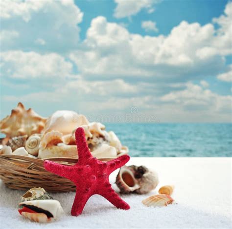 Starfish and seashells stock photo. Image of summer, relaxation - 32722572