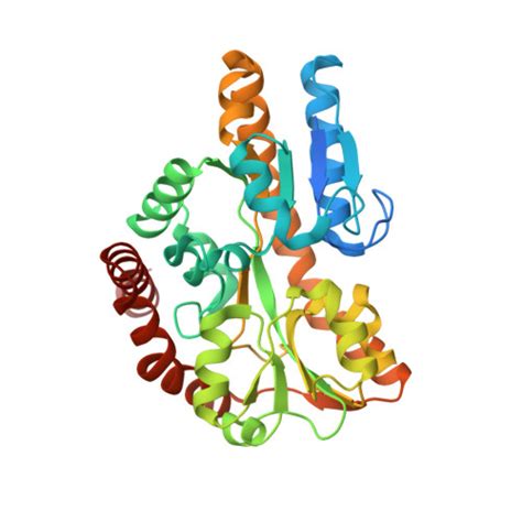 Rcsb Pdb Mco Crystal Structure Of A Trap Periplasmic Solute Binding