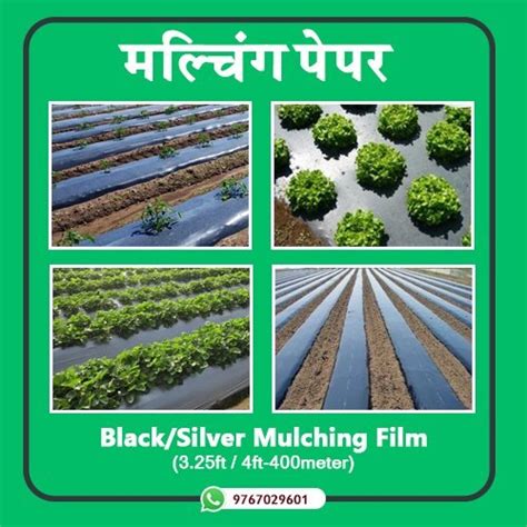 Plastic Black Silver Mulching Film Mulching Paper 1200mm And 1000mm