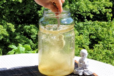 Wasserkefir selber machen einfache Anleitung für zu Hause