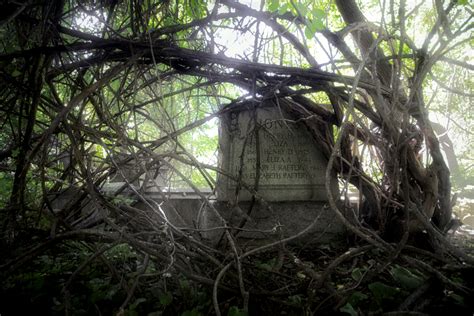 Mount Moriah Cemetery – T A B U L A R A S A photography