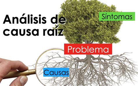 An Lisis De Causa Ra Z Asinfarma Consultor A Industria Farmac Utica