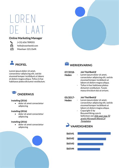 47 CV Voorbeelden In Word Pdf 2024