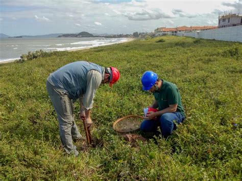 Projeto De Avalia O De Impacto Ao Patrim Nio Arqueol Gico Realizado