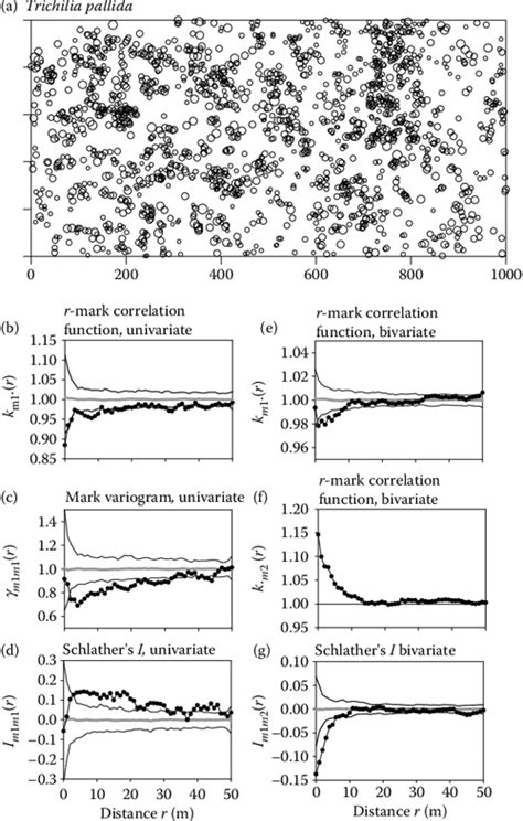 PDF Handbook Of Spatial Point Pattern Analysis In Ecology Semantic