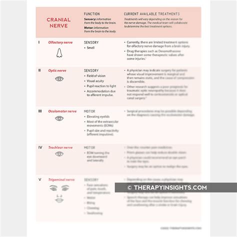 Cranial Nerve Treatment Options – Adult and pediatric printable ...