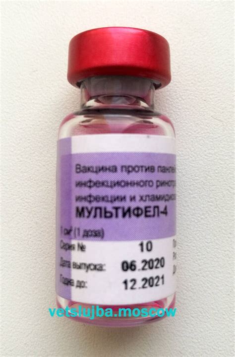 Мультифел 4 для кошек: показания и инструкция по применению, отзывы, цена