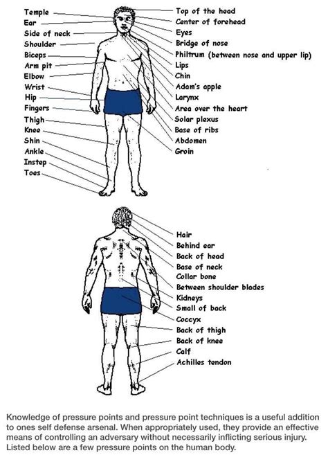 Pressure Points On The Body Self Defense