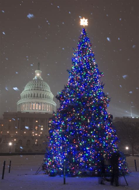 Christmas Tree Lighting Capitol Dc Jennette Larue