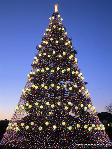 Christmas in DC: The National Christmas Tree - Ferreting Out the Fun