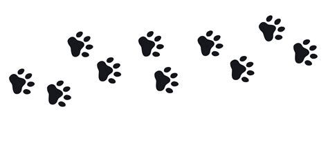 Silhouette of cat paws. Paw prints. The dog and cat puppy icon. Traces ...