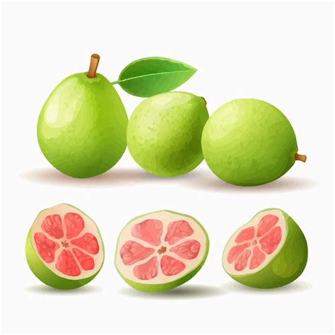 Premium Vector Vector Illustrations Of Sliced Guava Fruit For A