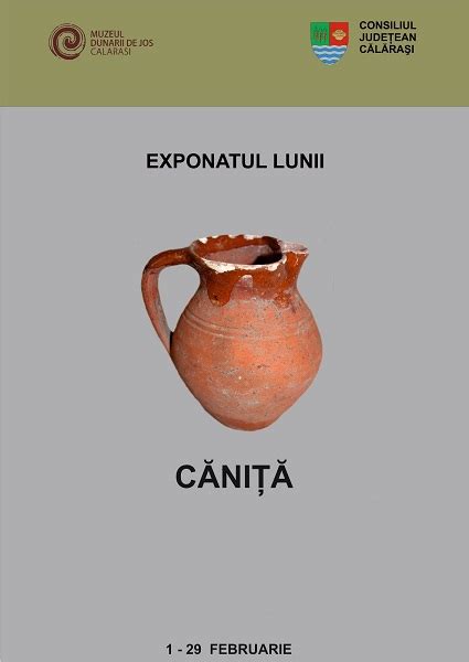 Exponatul Lunii Februarie La Muzeul Dun Rii De Jos C L Ra I