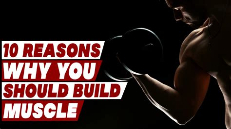 Reasons Why You Should Build Muscle Look Fit And Date