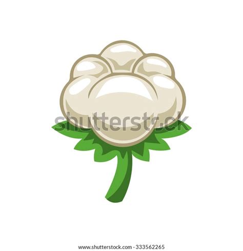 Cotton Boll Stock Vector (Royalty Free) 333562265 | Shutterstock