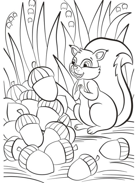 Squirrel with acorn Coloring Page - Funny Coloring Pages