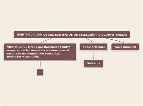 Identificaci N De Los Elementos De Selecci Mind Map