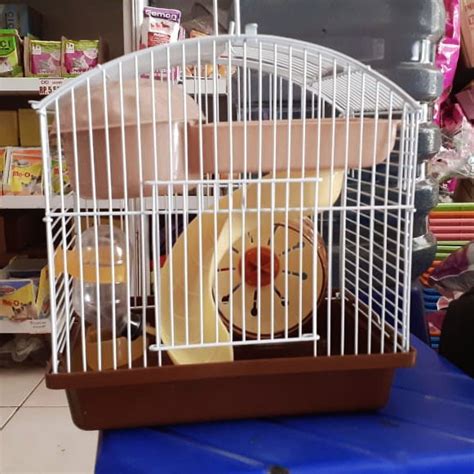 Jual Kandang Hamster Kandang Hamster Murah 158 Shopee Indonesia