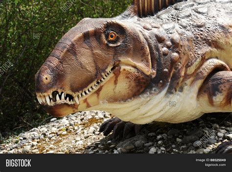 Dimetrodon Model Face Head Image And Photo Bigstock