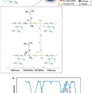 Fabrication Pathway And Functional Groups Characterization Of