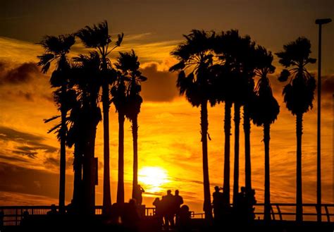 Venice Beach California Sunset 8